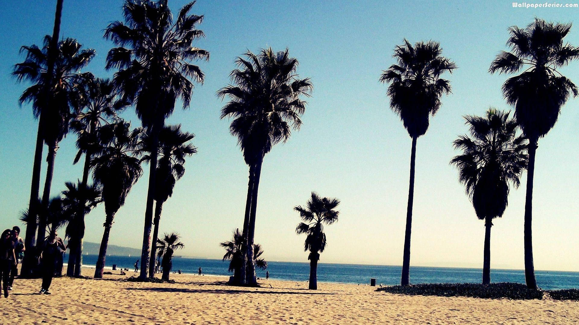 Venice Beach med mange palmer er et tapet til en mobil. Wallpaper