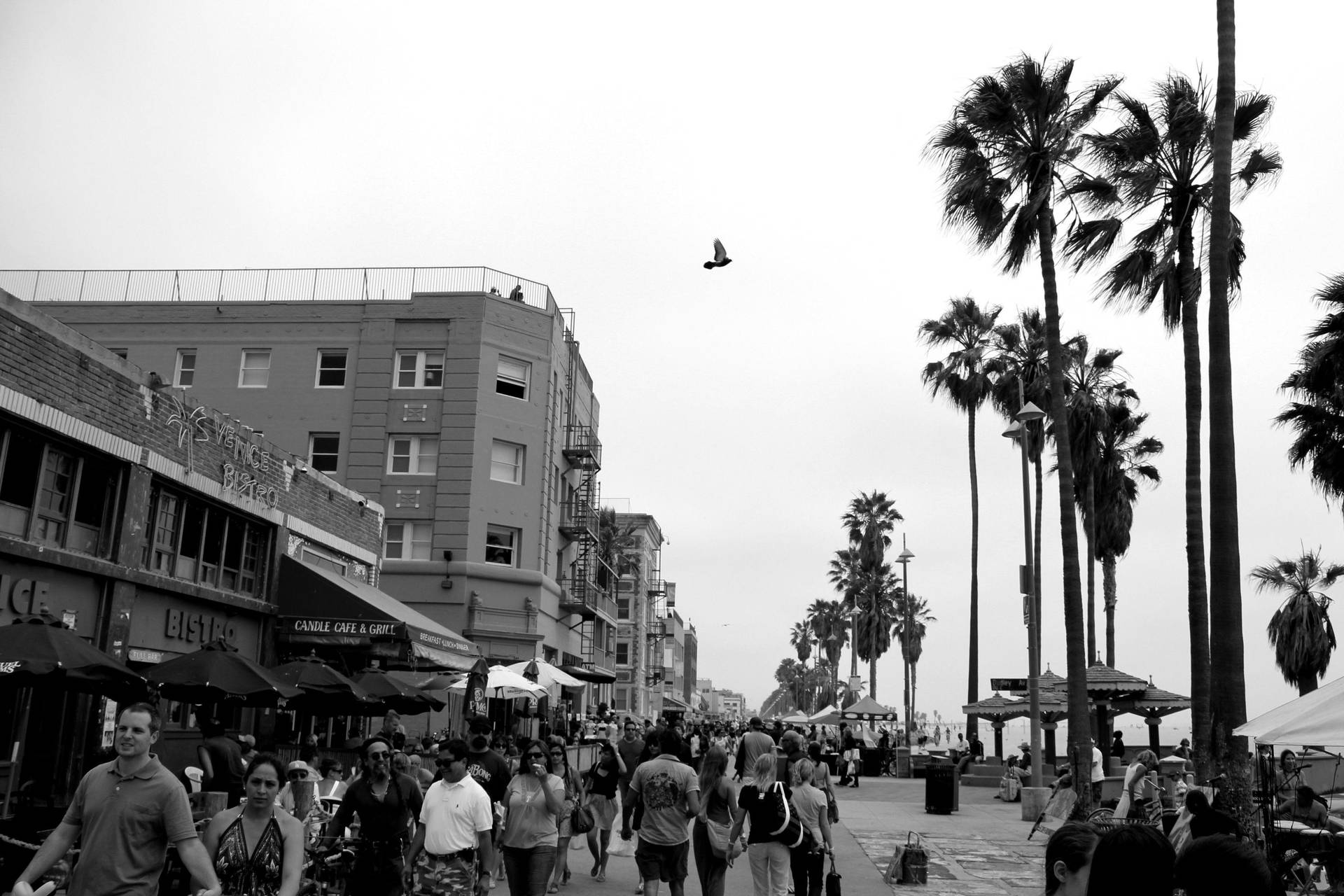 Muchedumbremonocromática En Venice Beach Fondo de pantalla