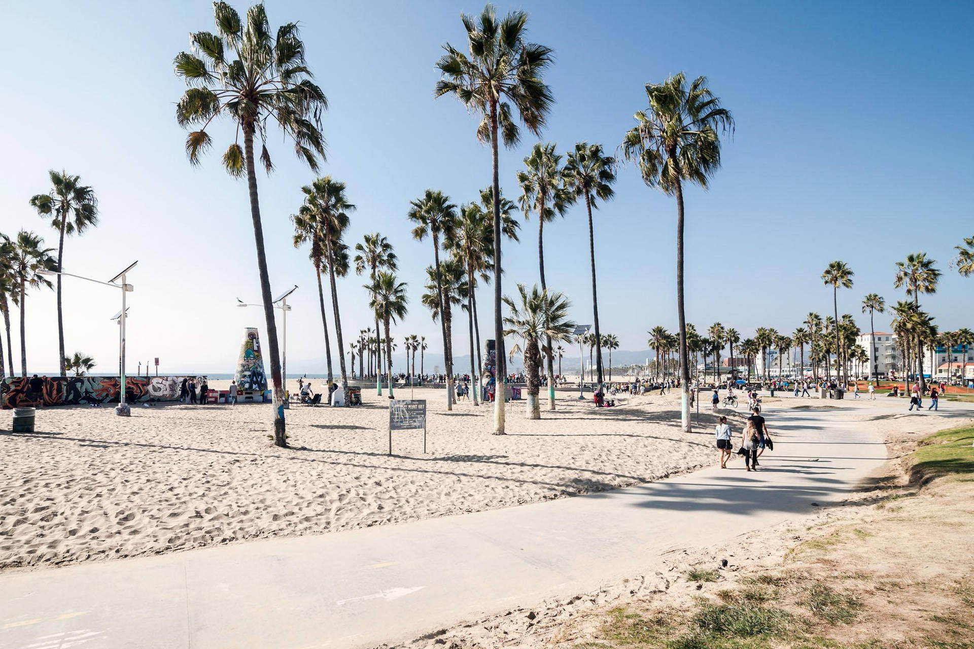 Caminhopara Pedestres De Venice Beach Com Árvores Em Papel De Parede De Computador Ou Celular. Papel de Parede