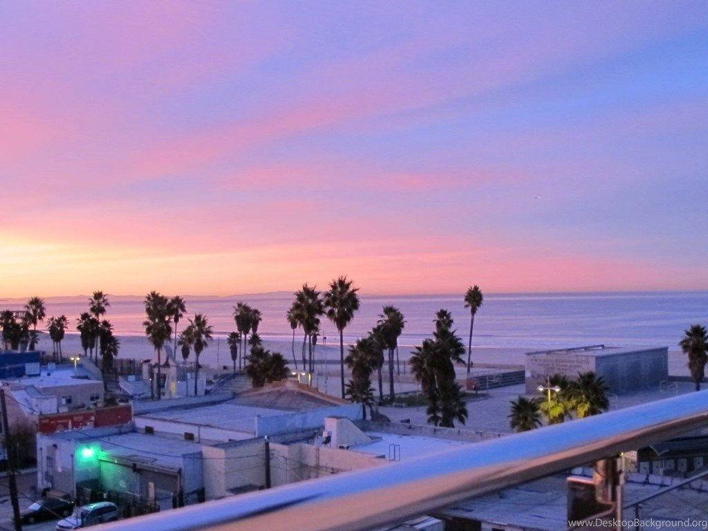 Venice Beach Pink Sunset Wallpaper