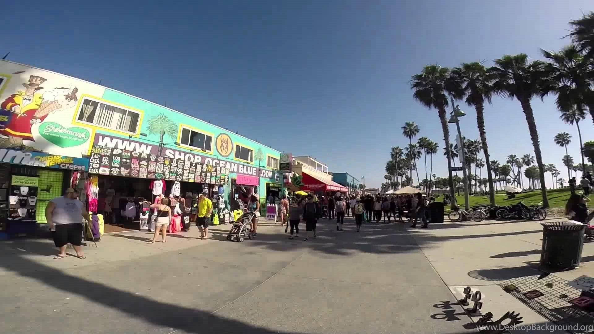 Árbolesde La Tienda Venice Beach Fondo de pantalla