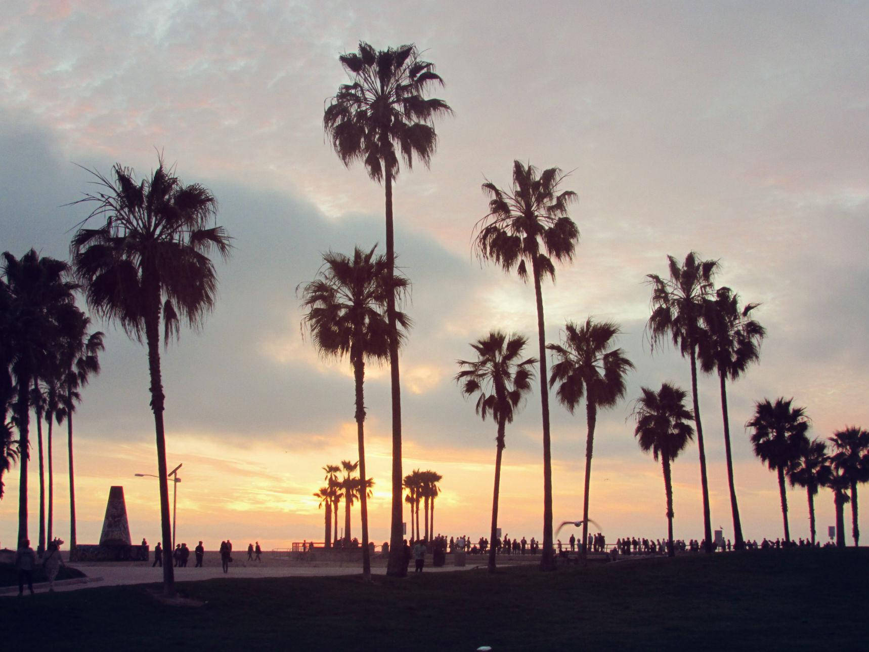 Venice Beach Solnedgang Høje Træer Ladninger Wallpaper