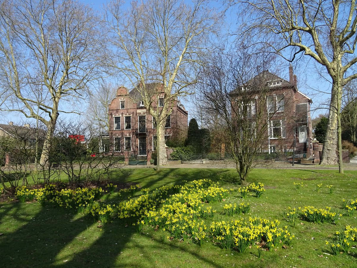 Venlo Historic Building Springtime Wallpaper