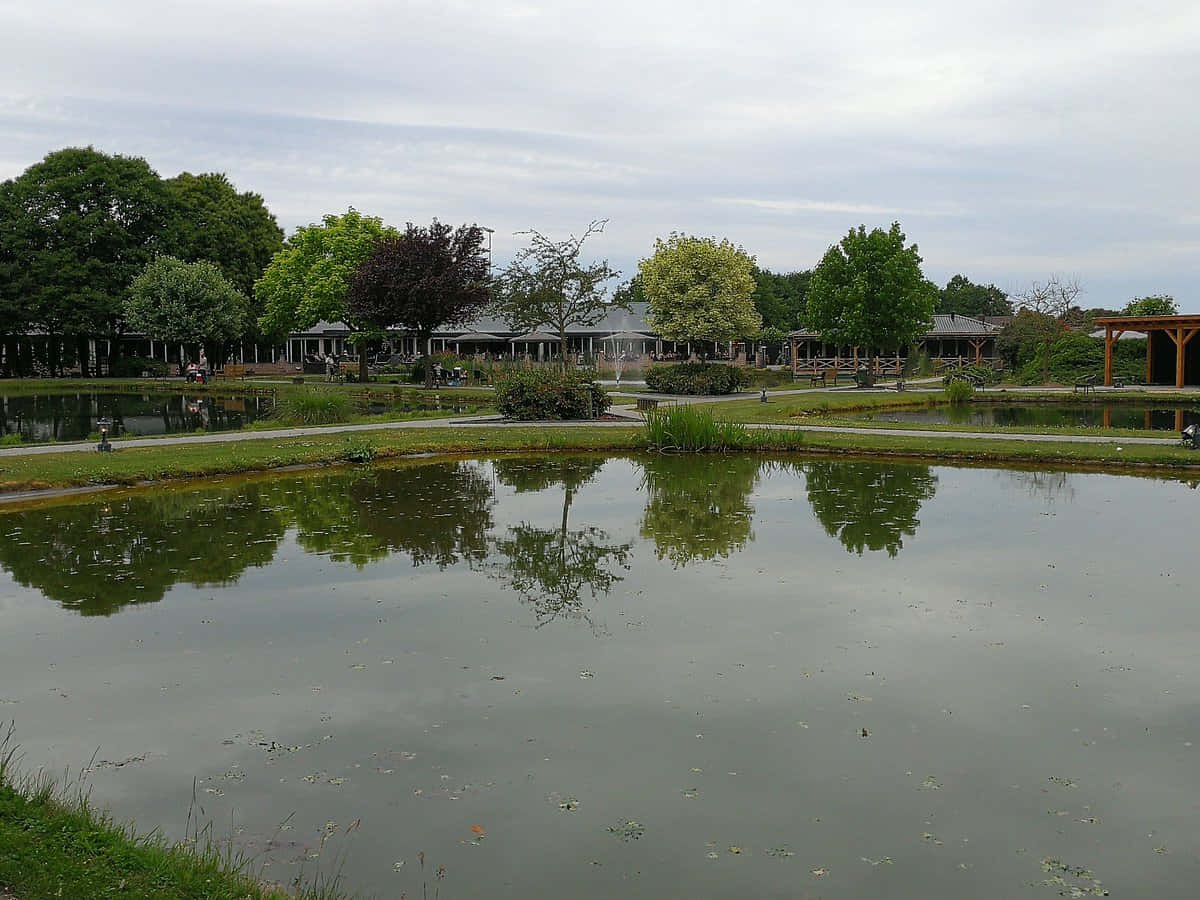 Venlo Park Pond Reflection Wallpaper