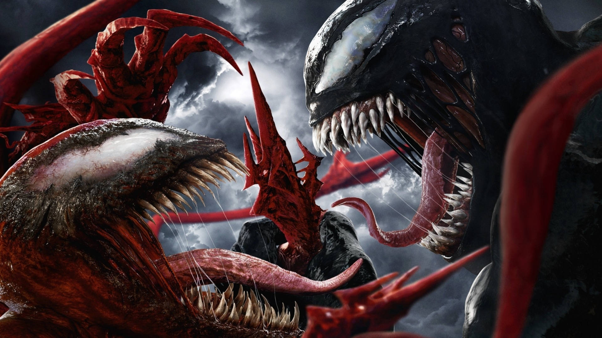 Venom Let There Be Carnage Tangled Wallpaper