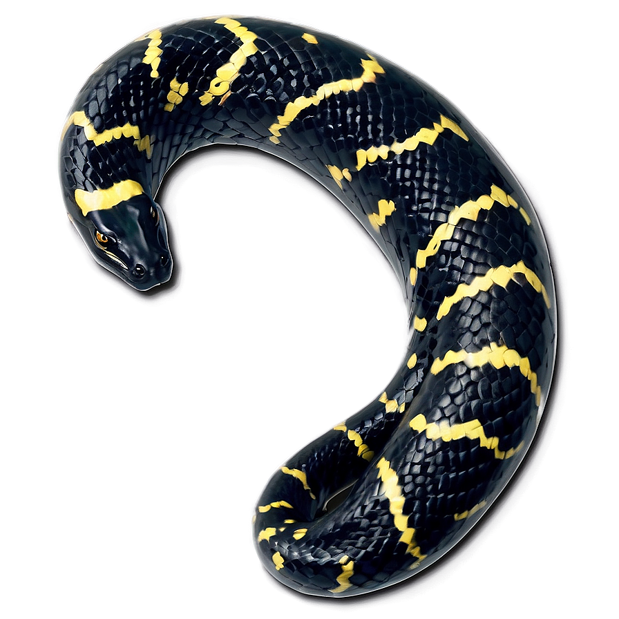 Venomous Black Snake Graphic Png 45 PNG