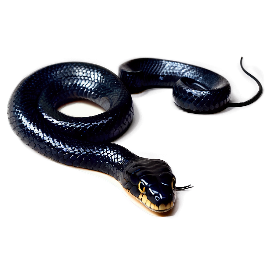 Venomous Black Snake Graphic Png Omg71 PNG