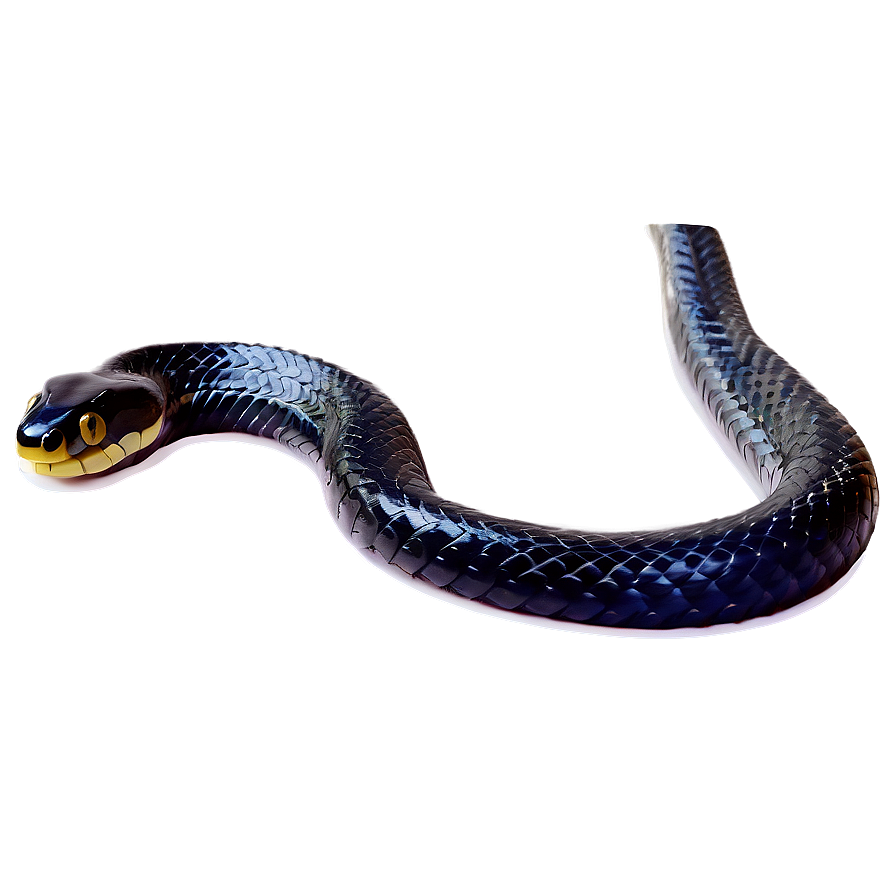 Venomous Black Snake Graphic Png Wth65 PNG