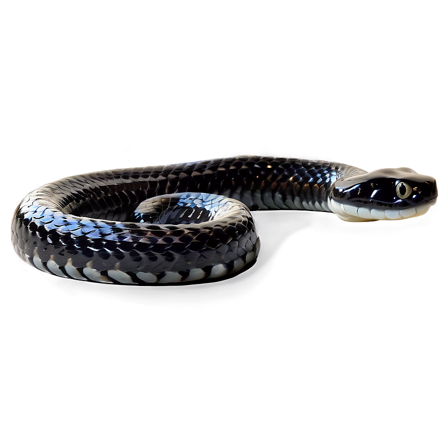 Venomous Black Snake Graphic Png Xcm10 PNG