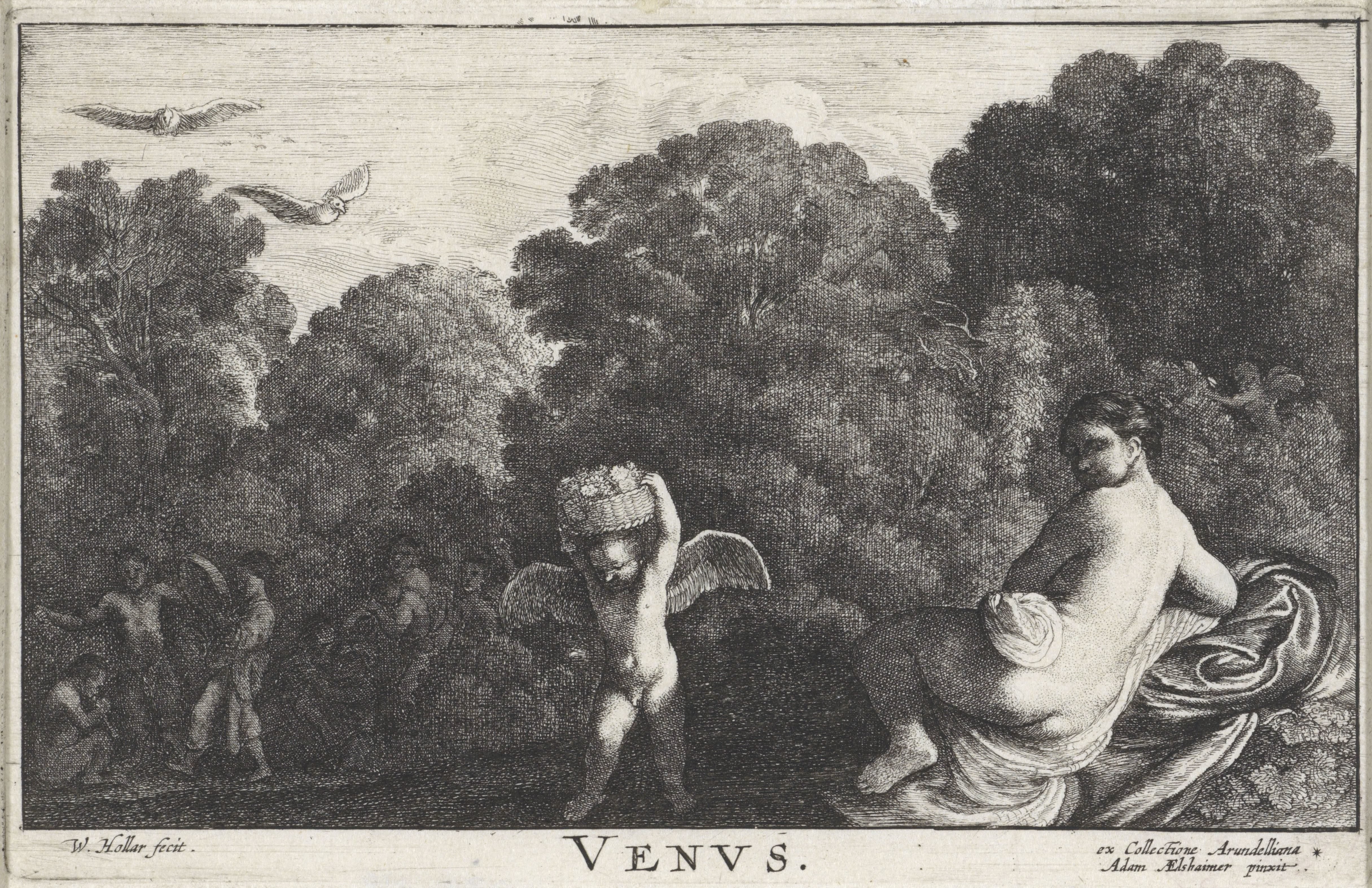 Venus Wallpaper