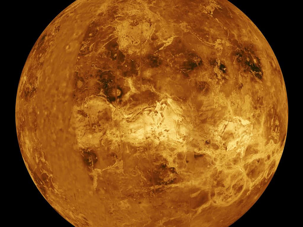 Behold the beauty of Venus