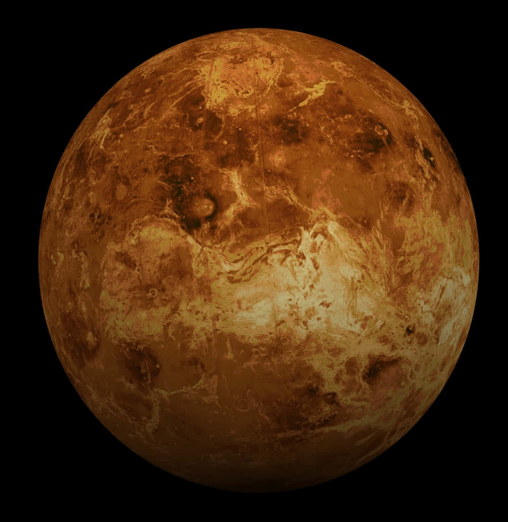 Majestic Venus