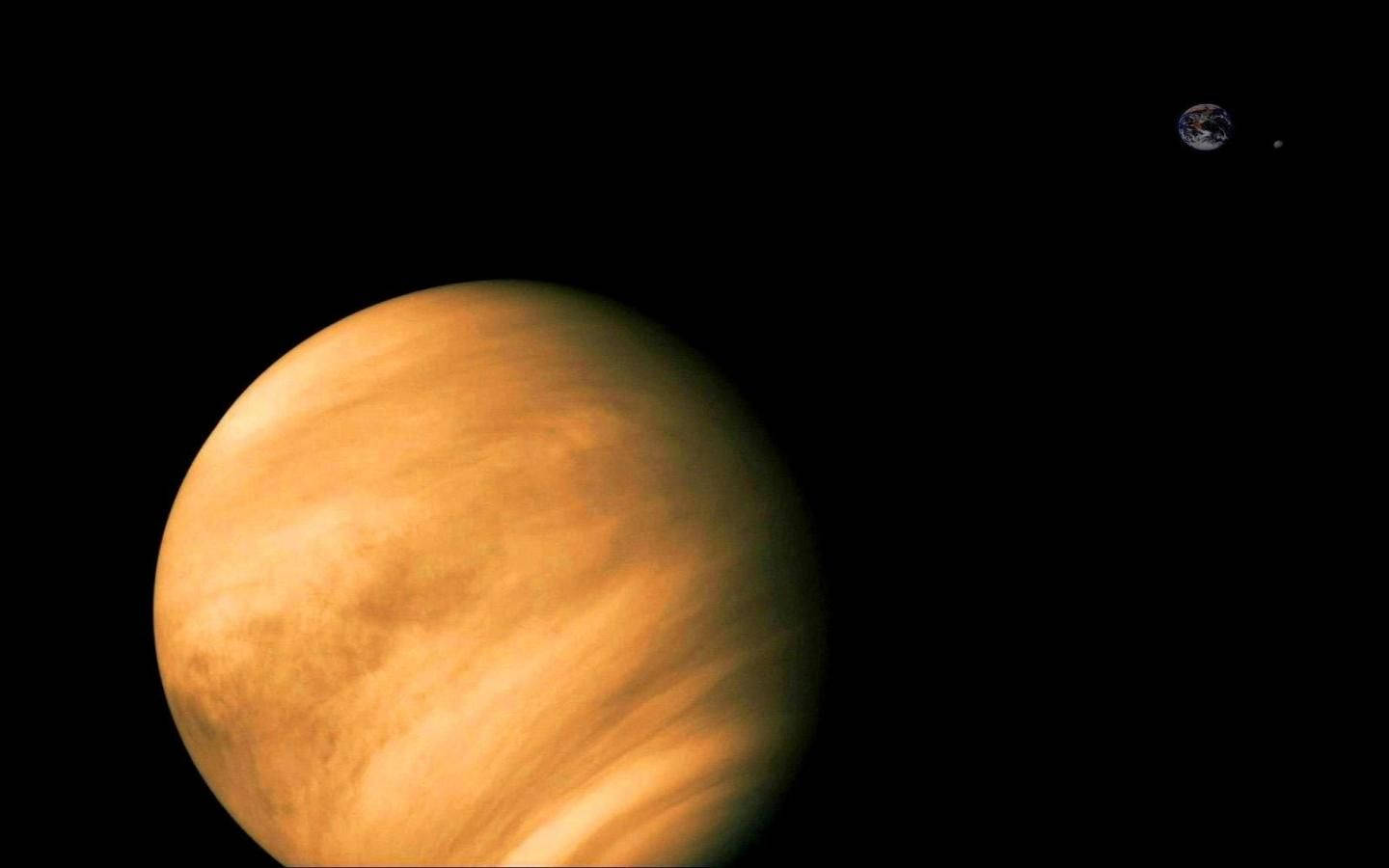 Venus drejer sig i en vinkel afslører gråtoner Wallpaper