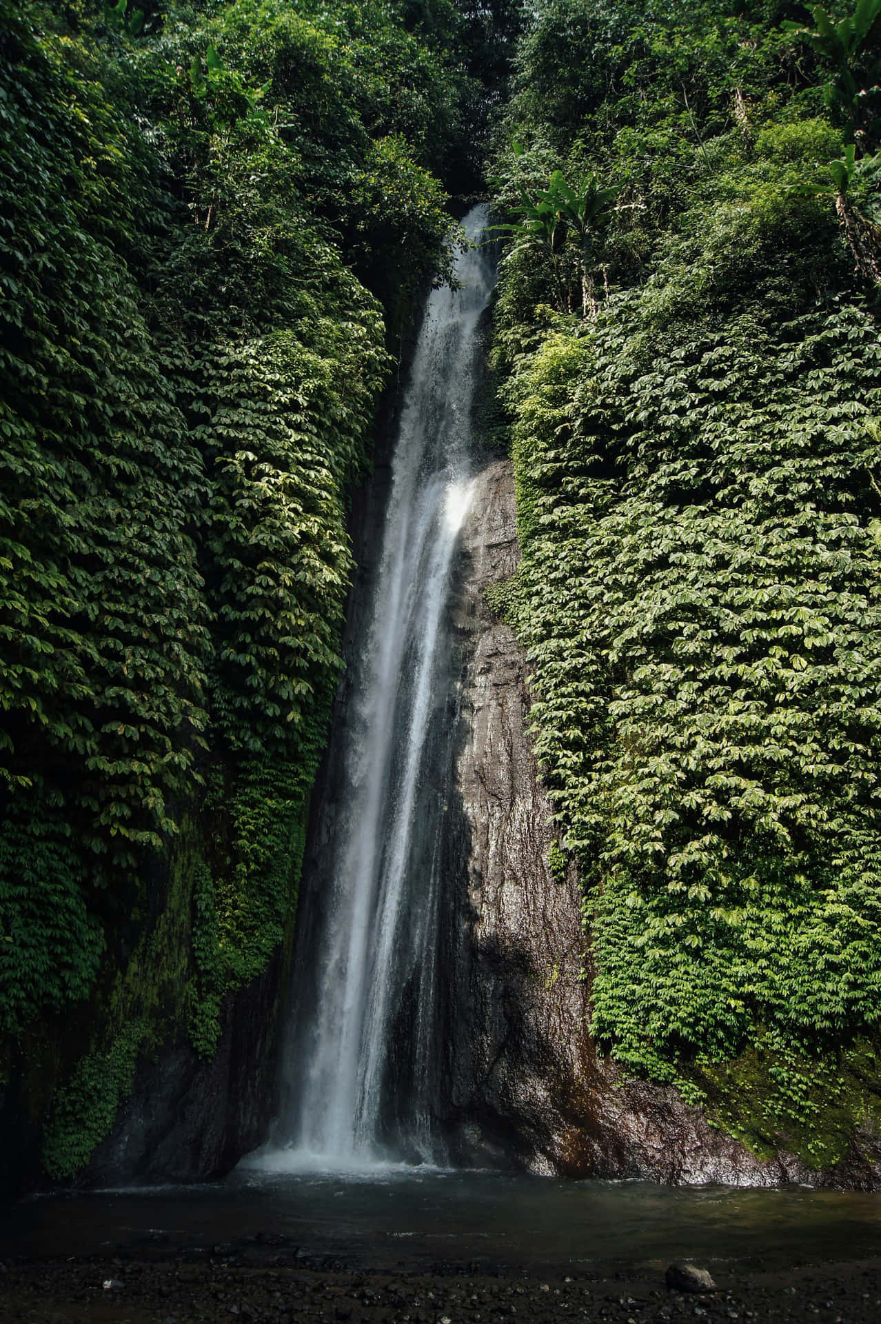 Verdant_ Jungle_ Waterfall Wallpaper