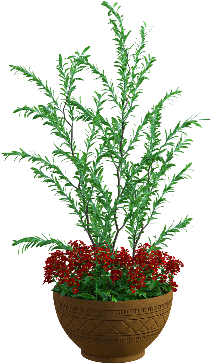 Verdant Planterwith Red Flowers PNG