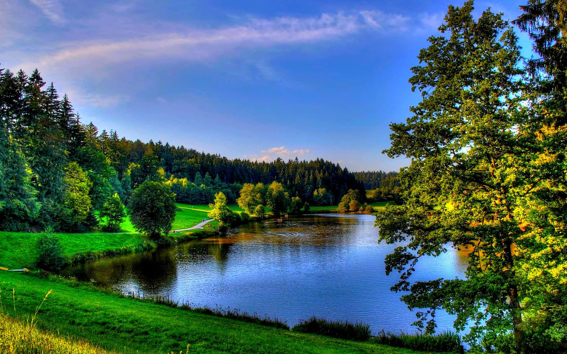 Verdant Tranquility Under The Spring Sky Wallpaper