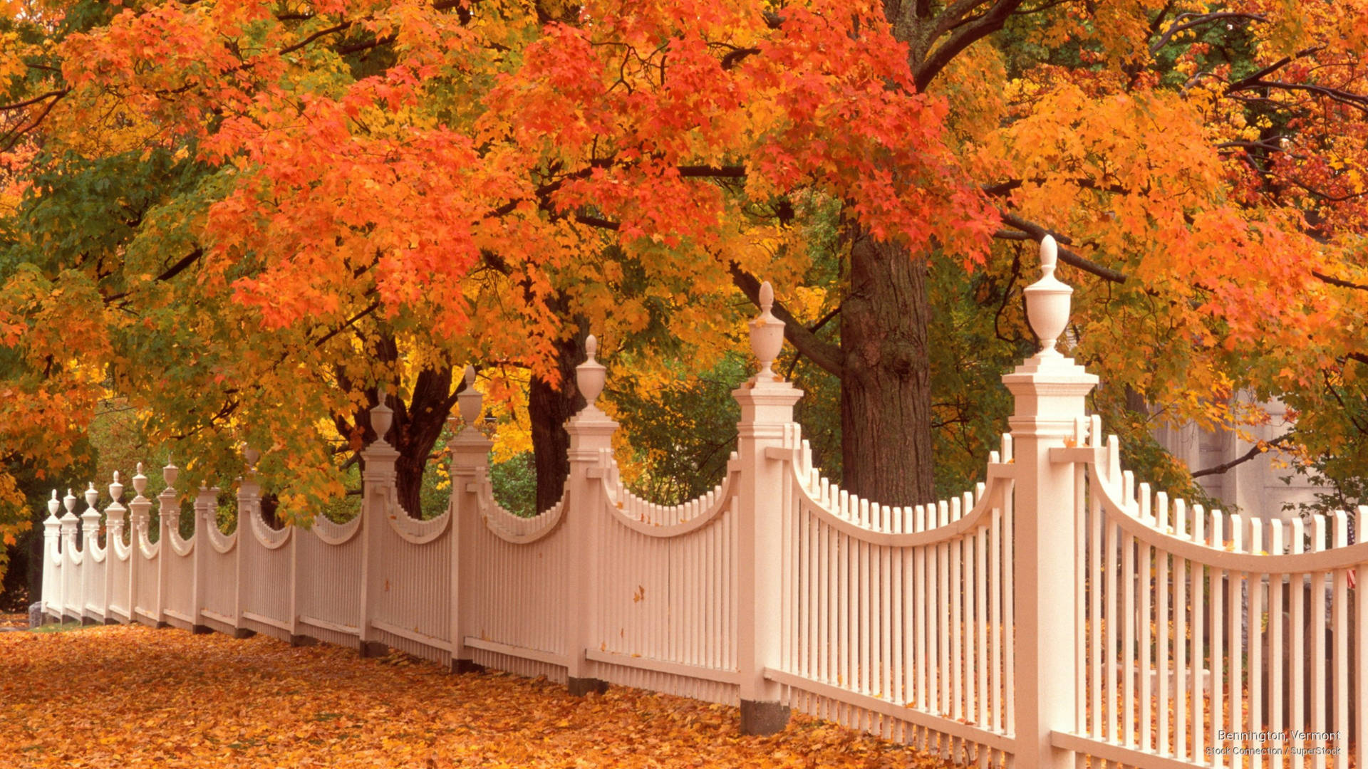 Vermont Bennington White Fence Autumn