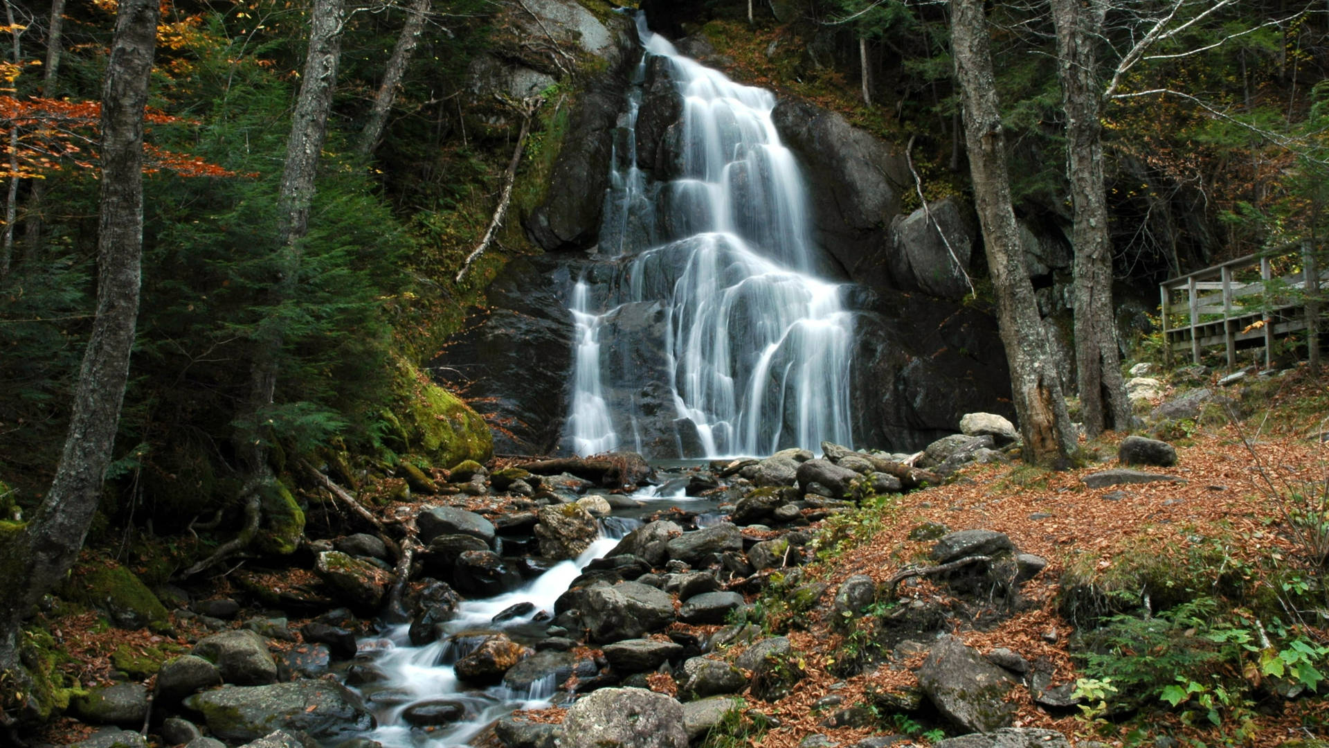Vermont Moss Glen Falls