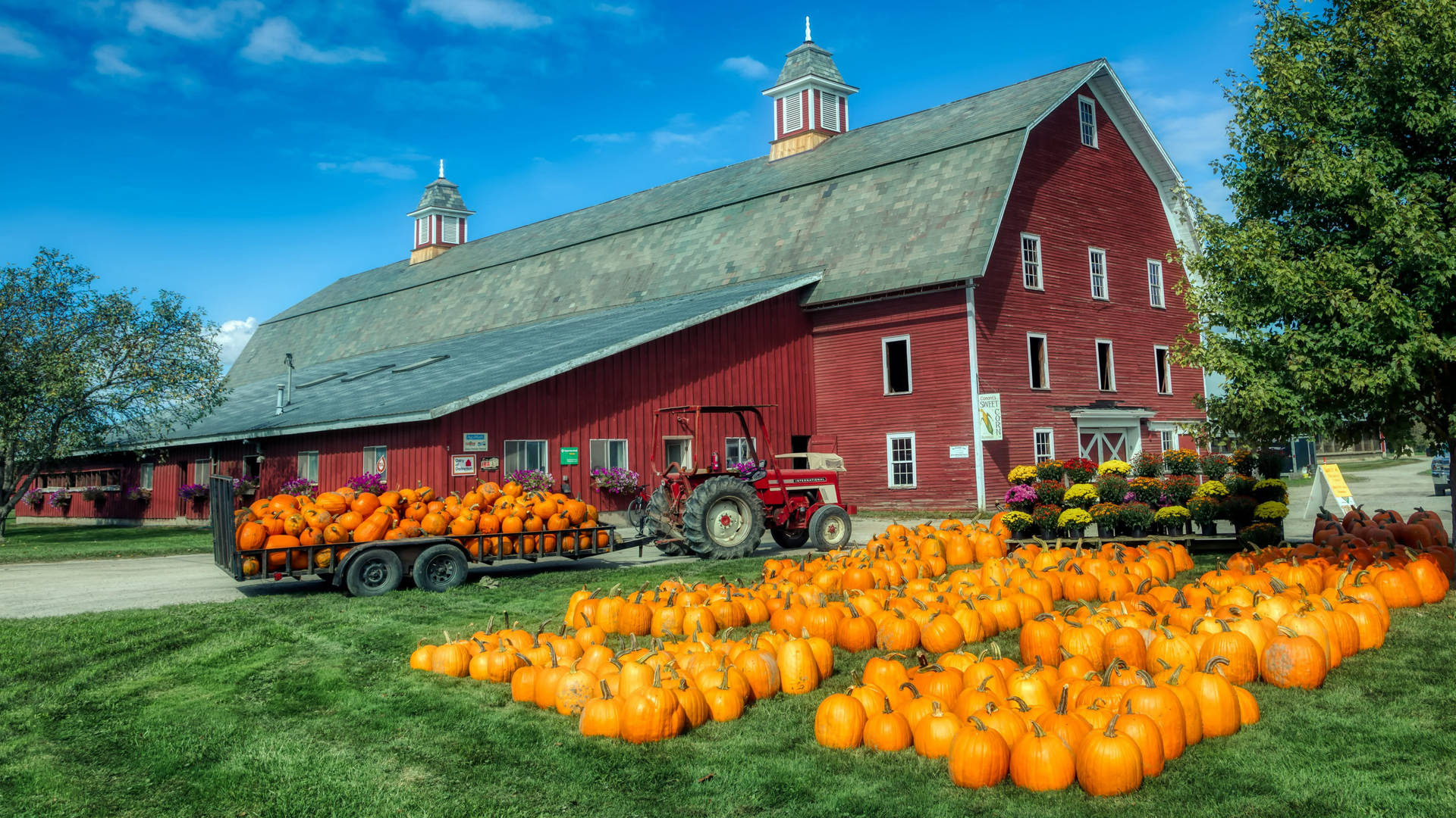 Vermont Red Barn And Pumpkins Wallpaper