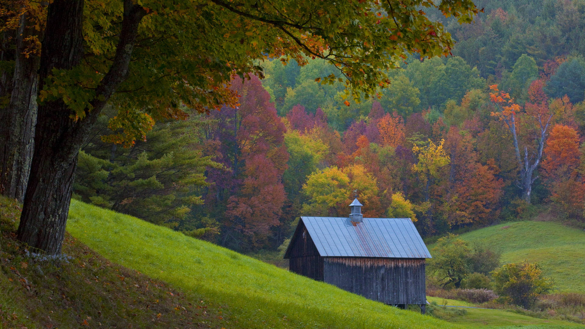 Vermont Wood House Autumn Wallpaper