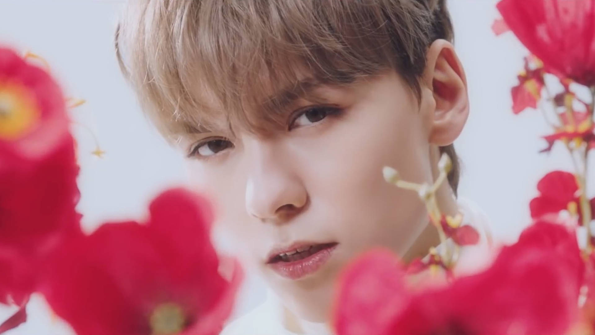 Vernon With Flowers Wallpaper