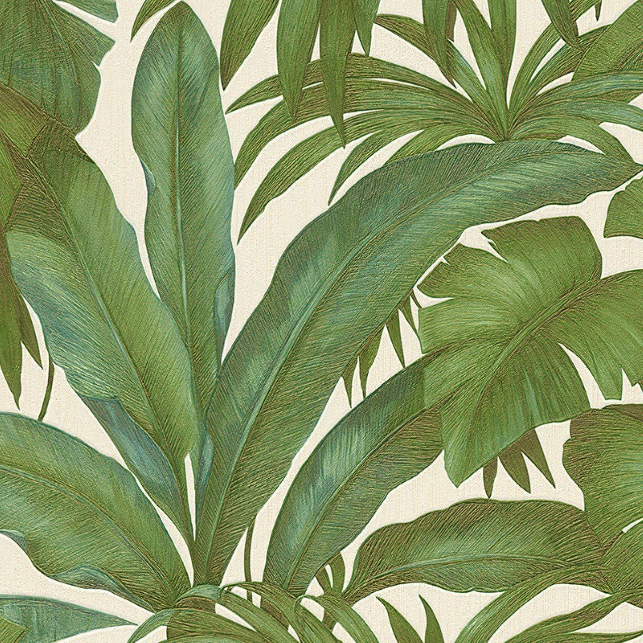 Live a Life of Luxury with Versace Green Leaf Wallpaper