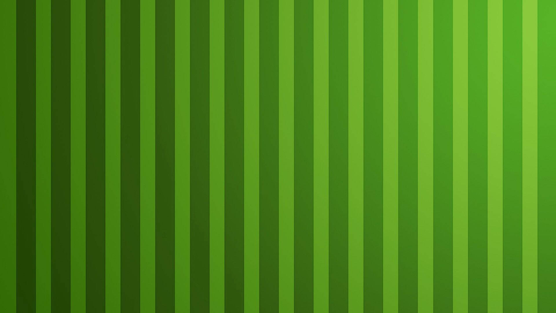 Vertical Green Lines Wallpaper