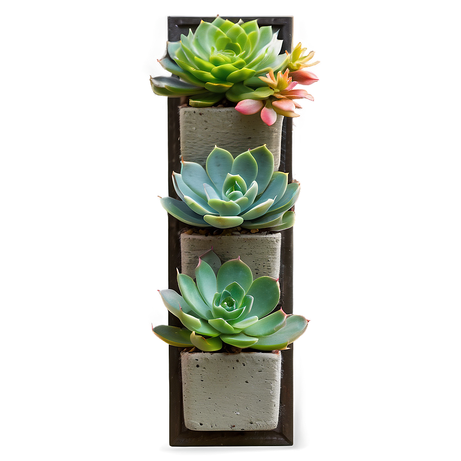 Vertical Succulent Garden Png Nyf79 PNG
