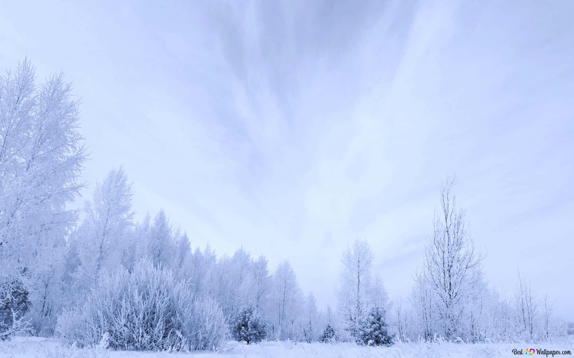 Very Beautiful Scenery In The Snow Wallpaper