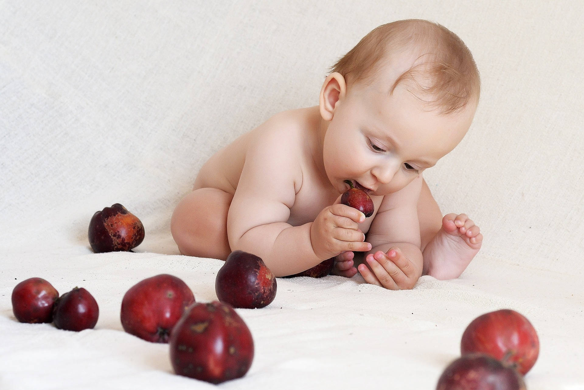 Sød baby som spiser æble på tapet. Wallpaper