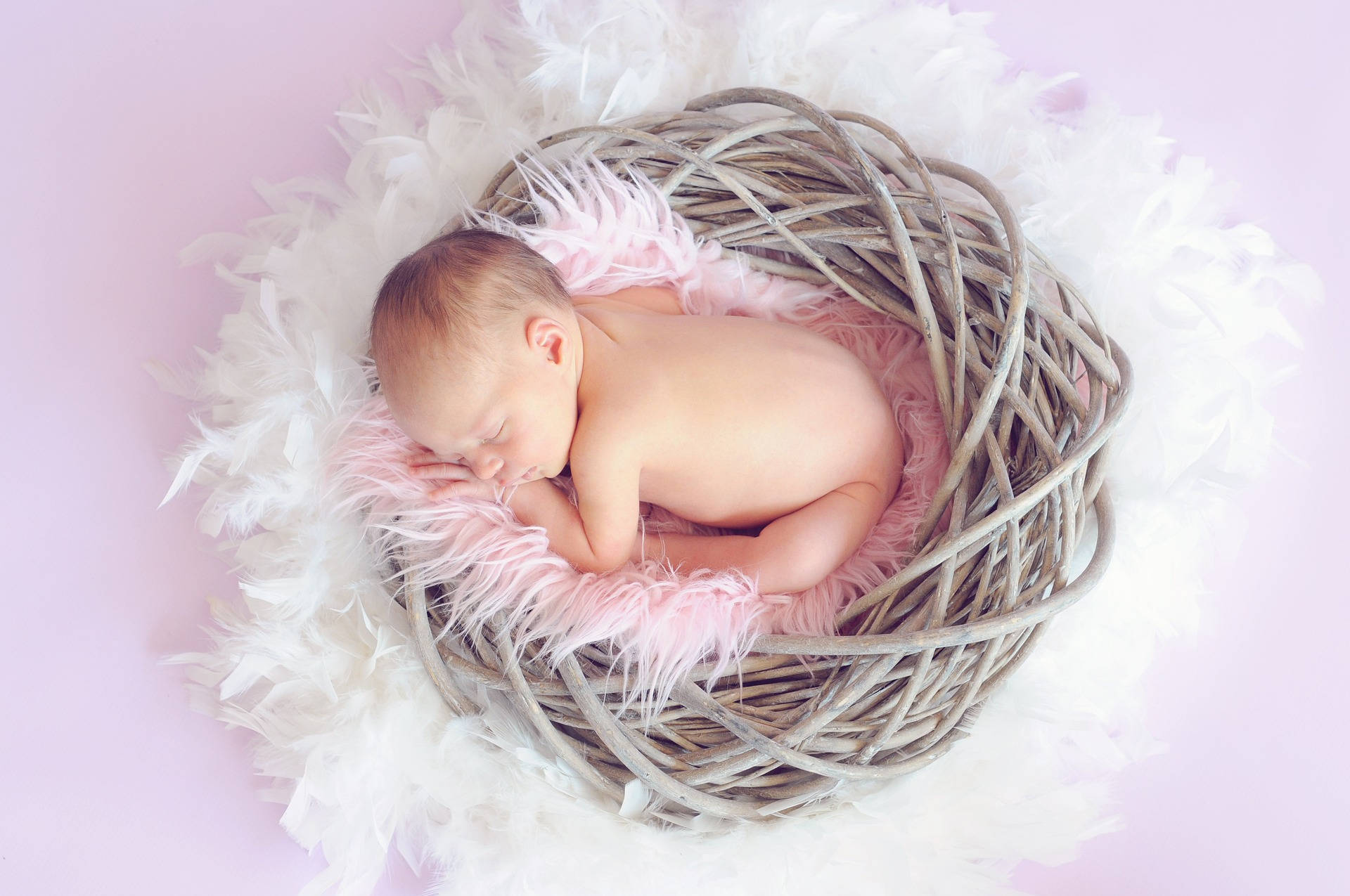 Very Cute Baby On Feathery Nest Wallpaper