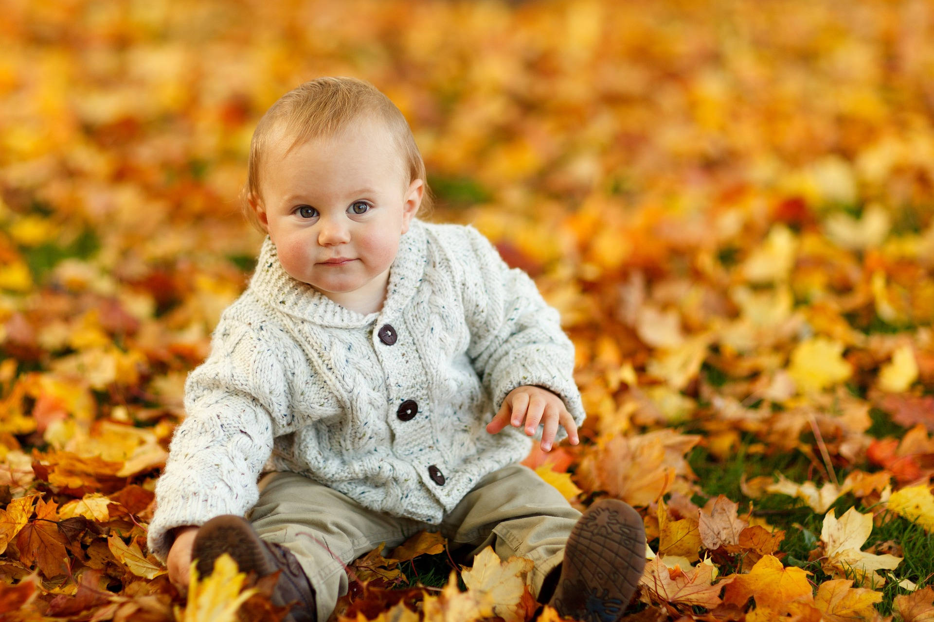 Very Cute Baby With Autumn Leaves Wallpaper