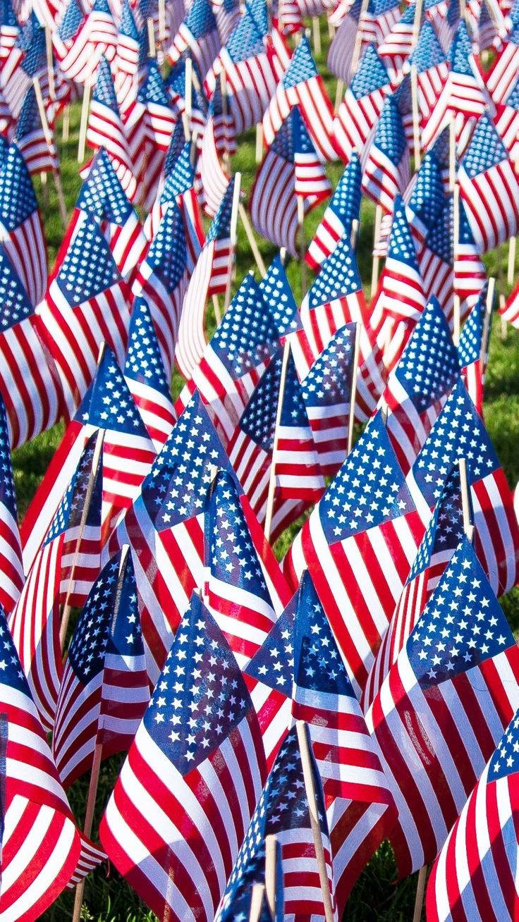 Veterans Day Piccole Bandiere Sfondo