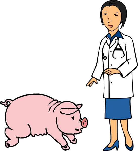 Veterinarian Examining Pig Clipart PNG