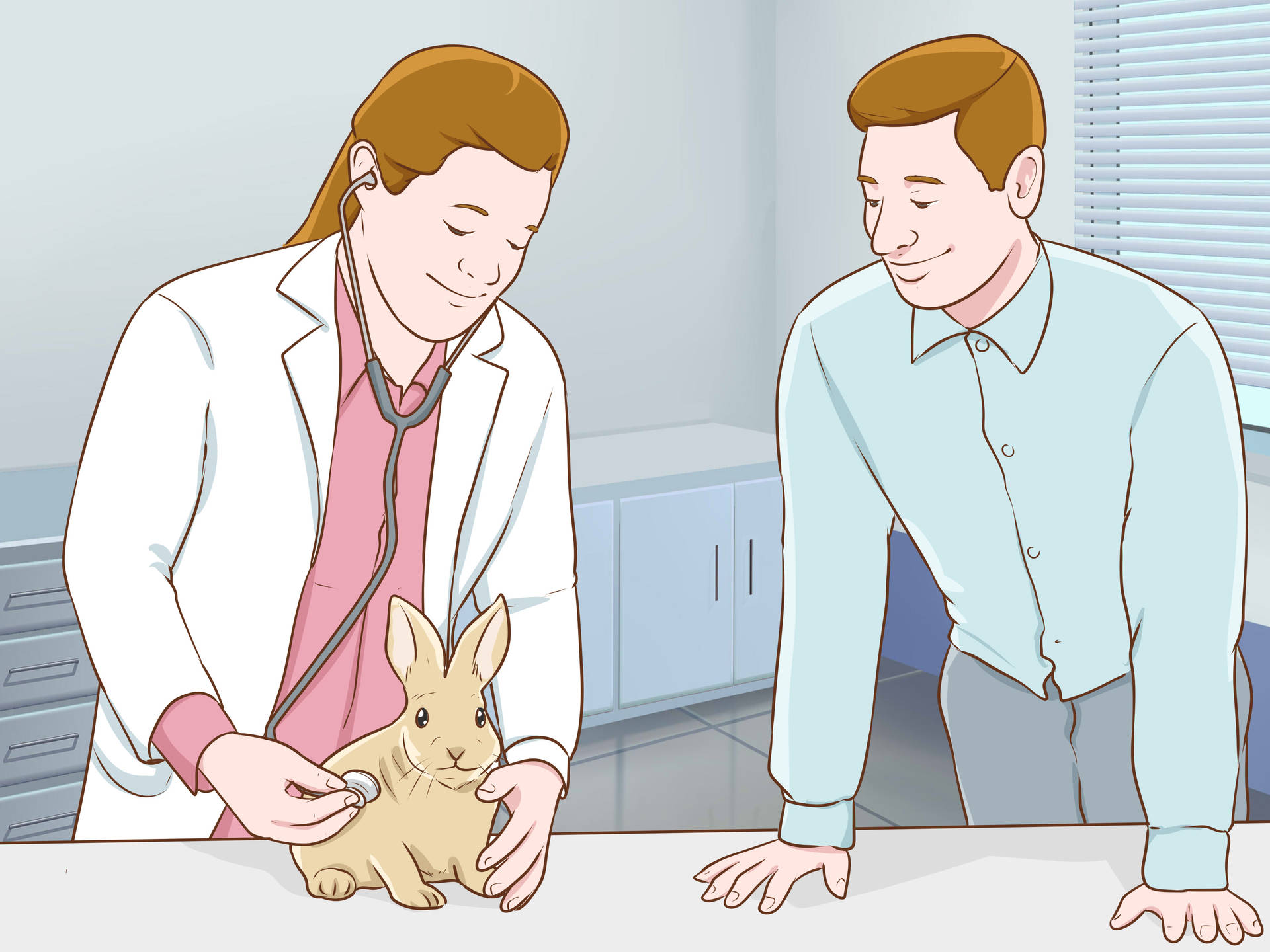 Veterinarian Treating Brown Rabbit Wallpaper
