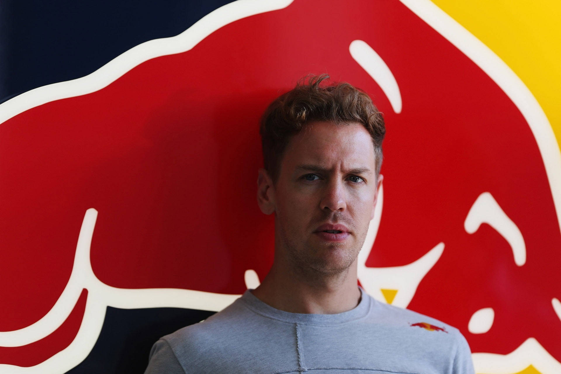 Vettel Portrait Red Bull Logo Wallpaper