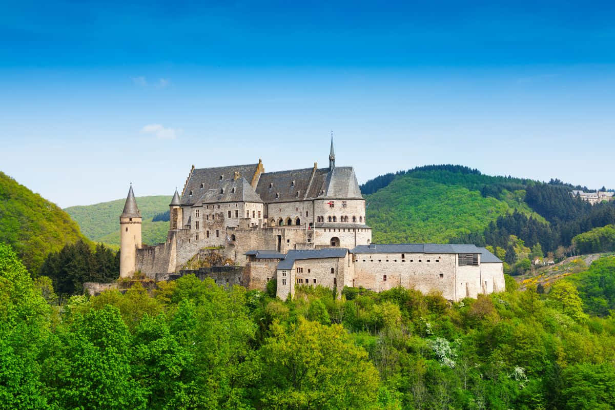 Vianden Slott Luxembourg Vår Bakgrunnsbildet