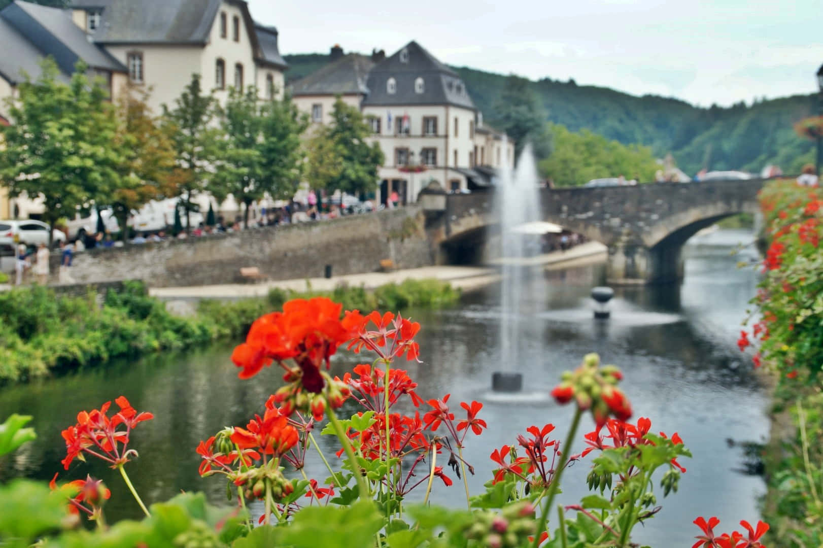 Vianden Elv Utsikt Med Blomster Og Bro Bakgrunnsbildet