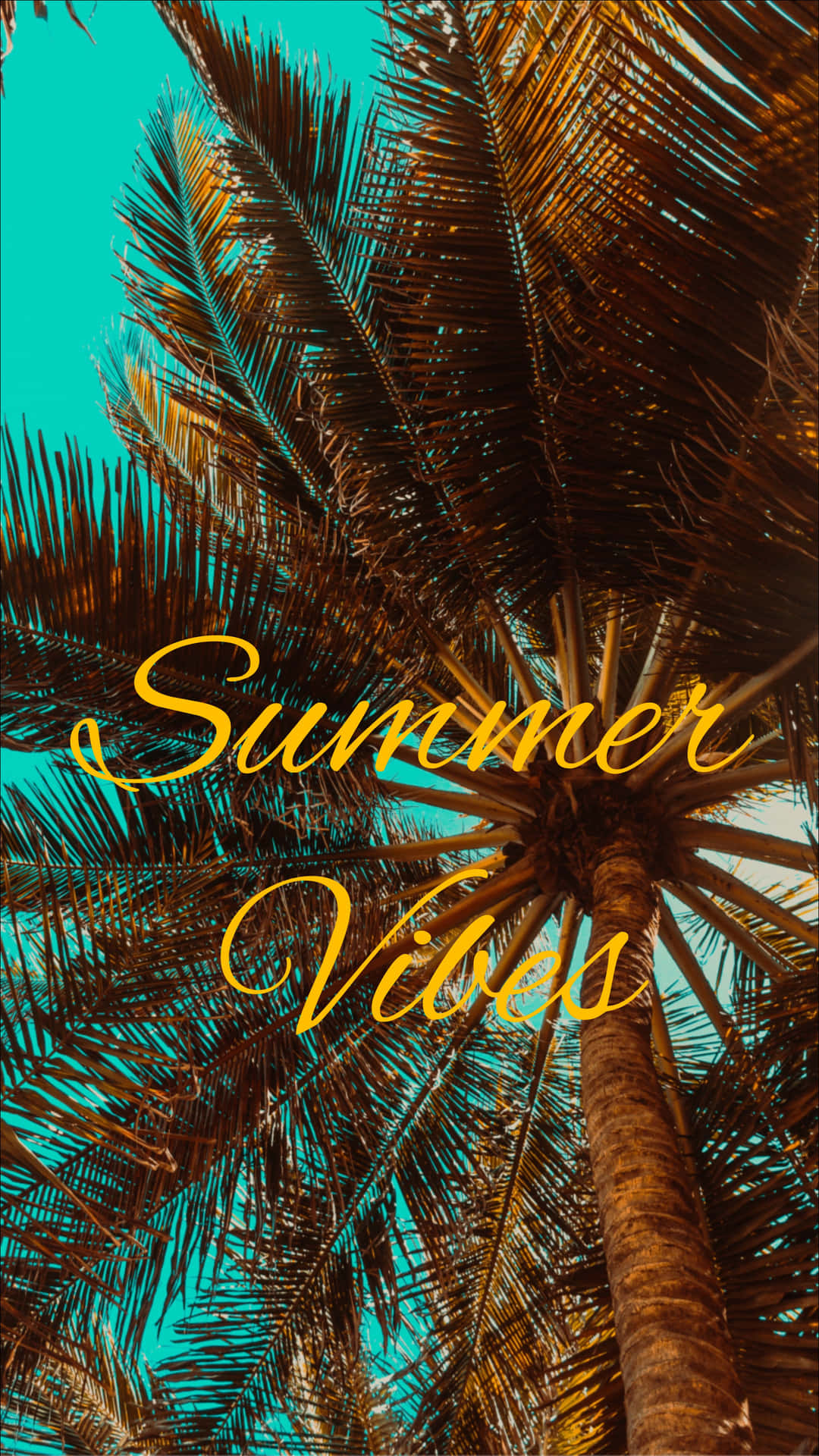 Palmtree Sommer Vibes Iphone Wallpaper