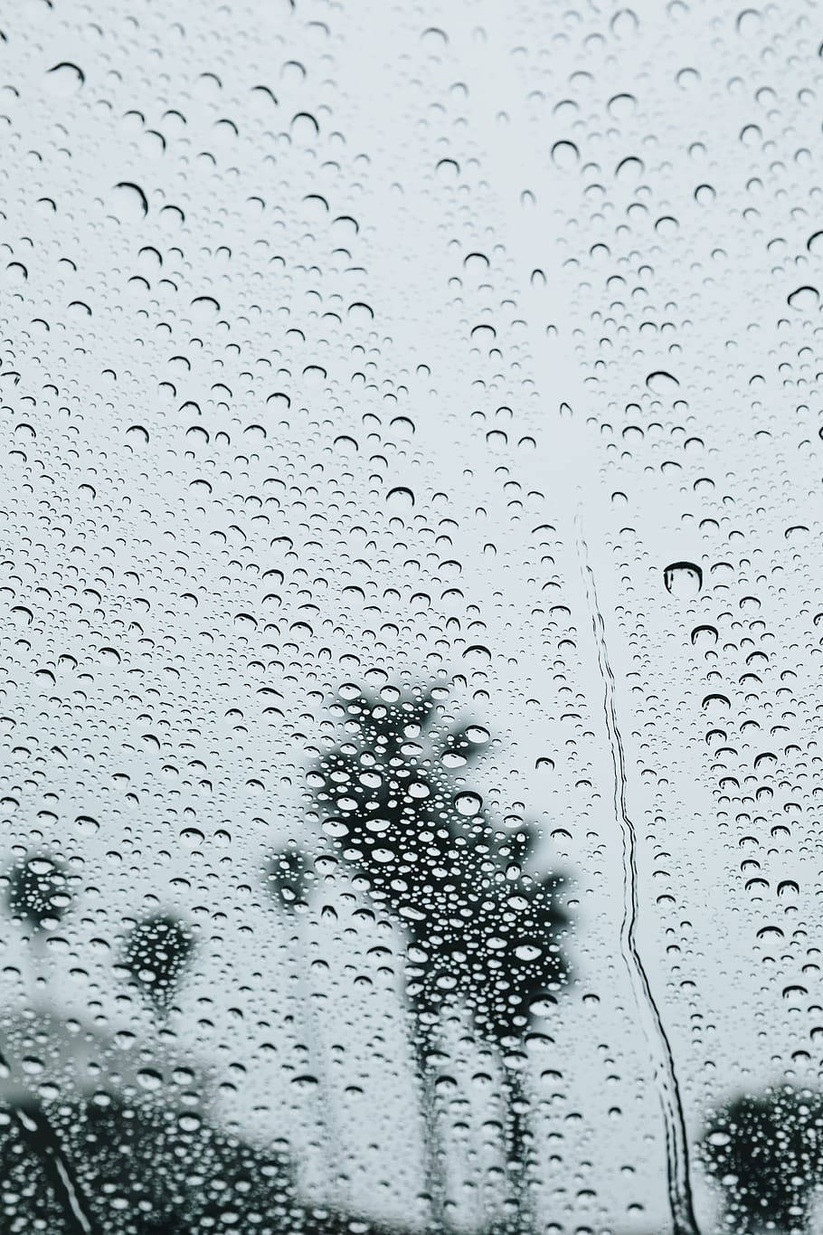 Vibey Window Rain