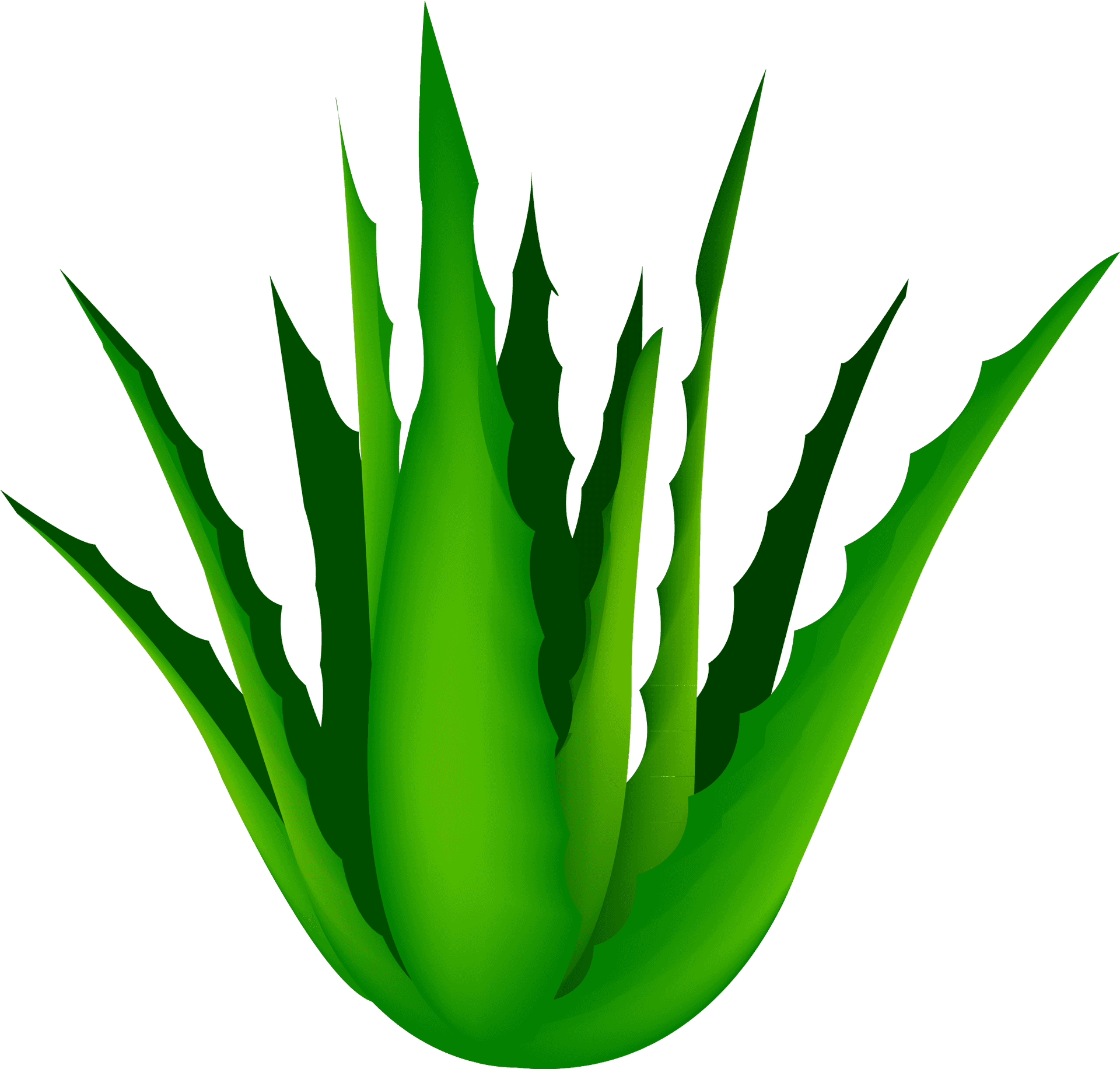 Vibrant Aloe Vera Plant Illustration PNG