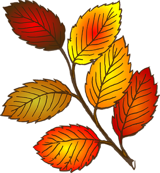 Vibrant Autumn Leaves Illustration PNG