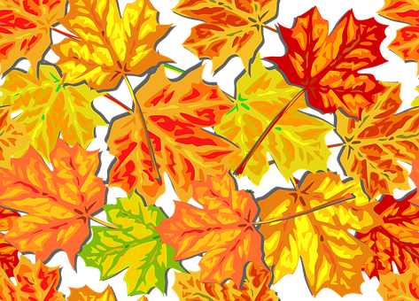 Vibrant Autumn Leaves Pattern.jpg PNG
