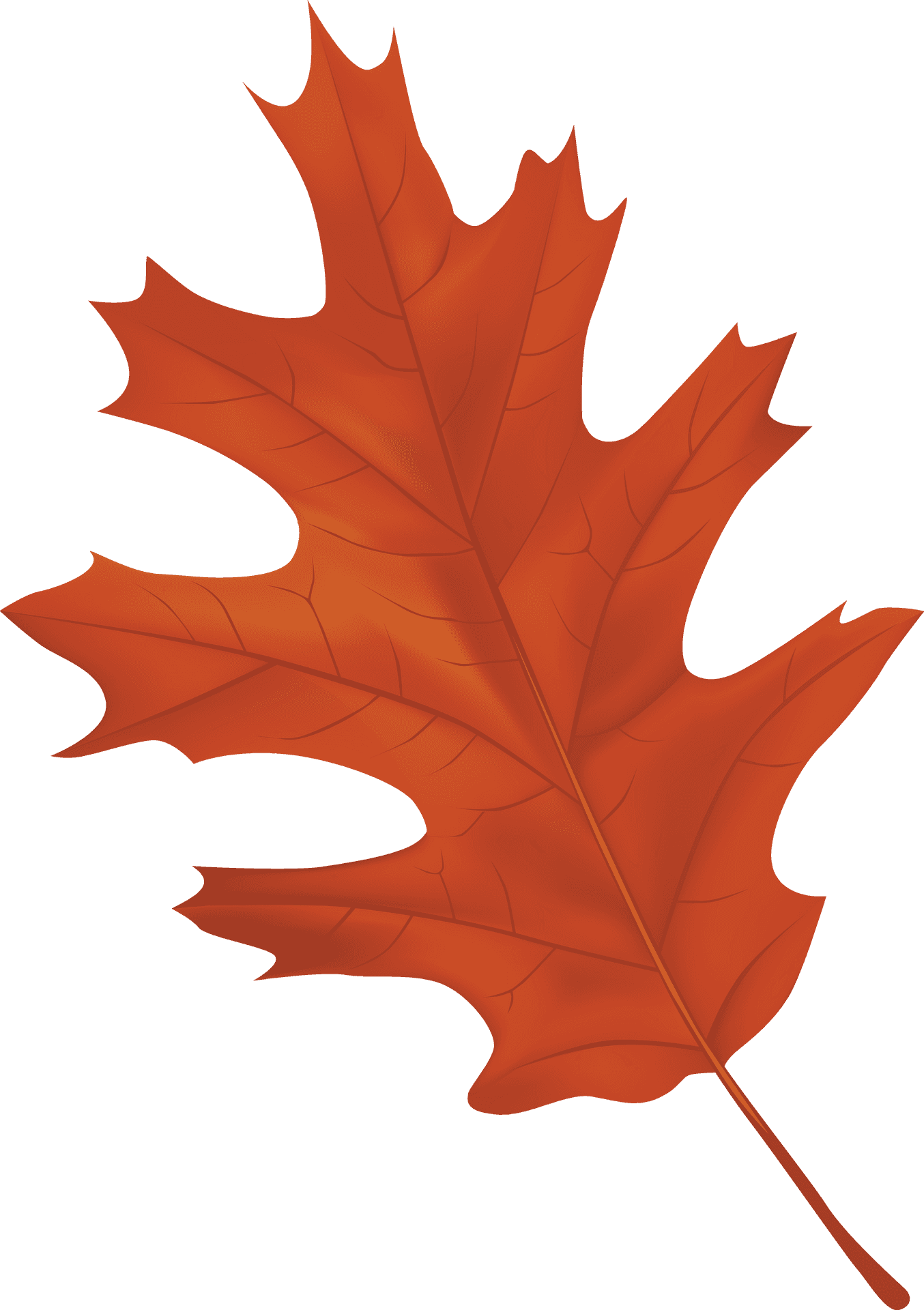 Vibrant Autumn Maple Leaf PNG