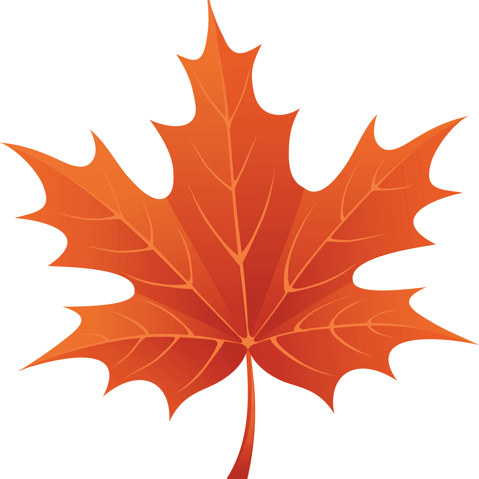 Vibrant Autumn Maple Leaf PNG