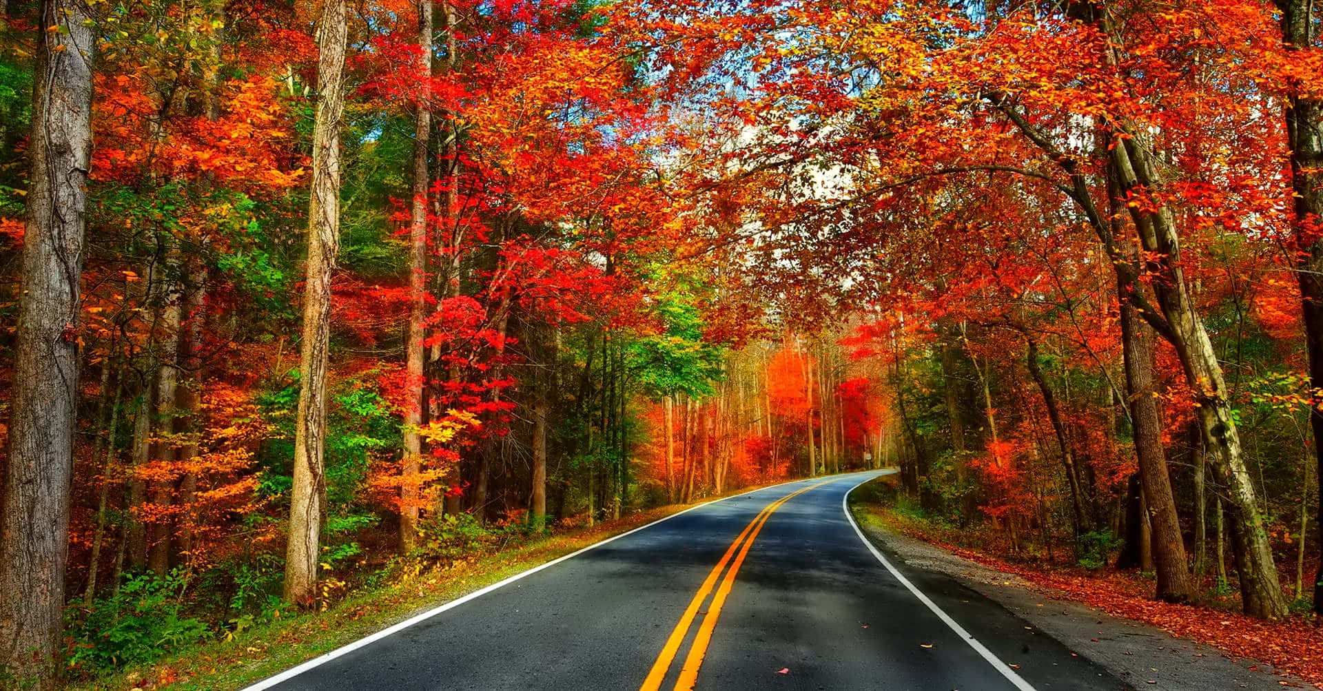 Vibrant Autumn Roadscape Wallpaper