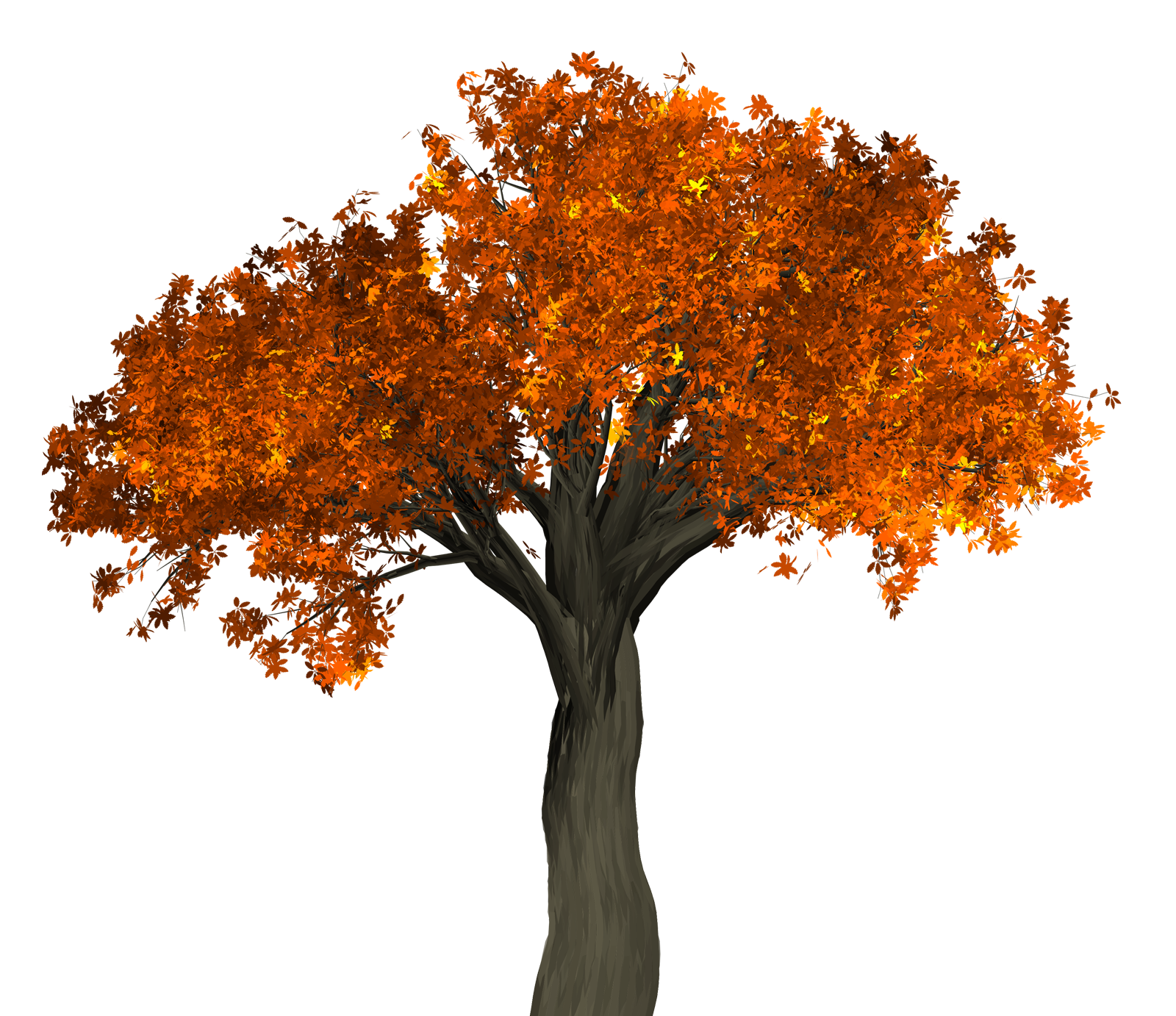 Vibrant Autumn Tree PNG