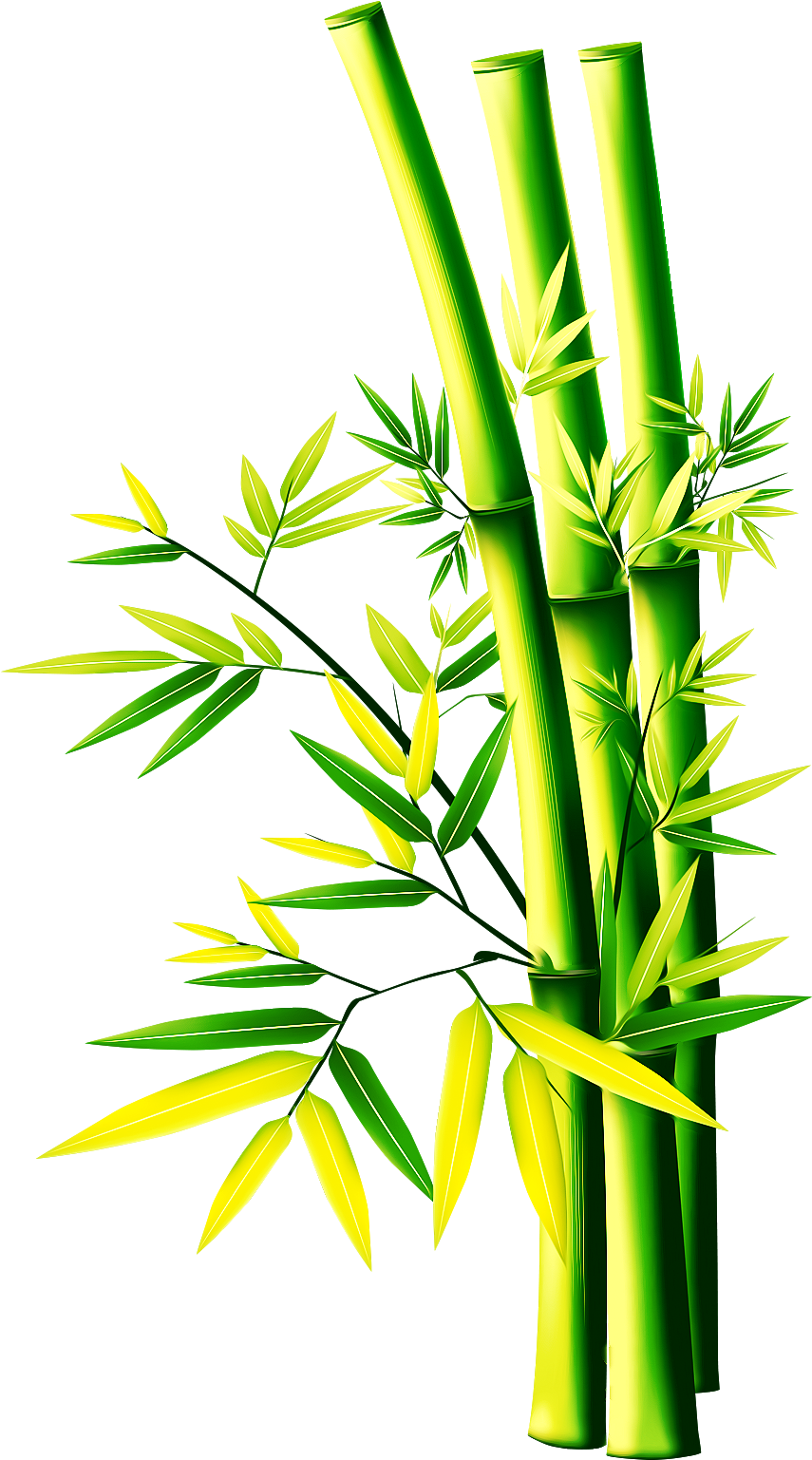 Vibrant Bamboo Stalks PNG