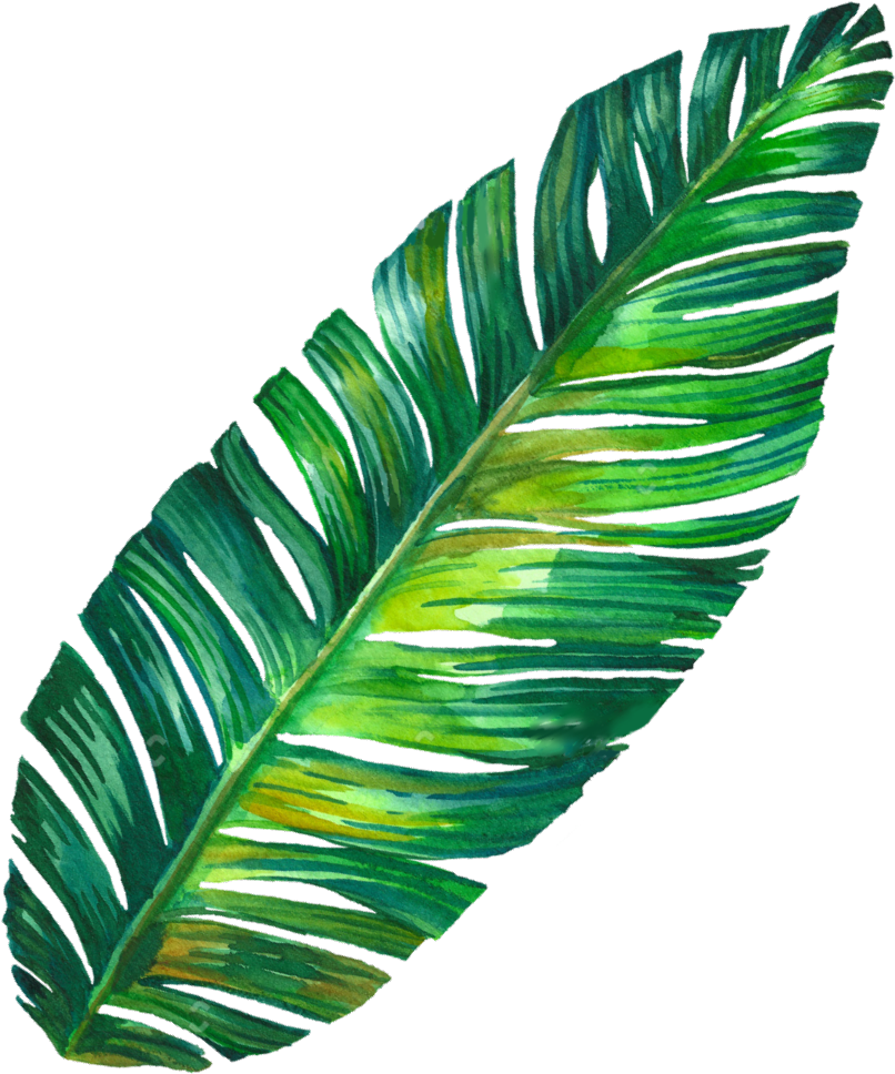 Vibrant Banana Leaf Artwork PNG