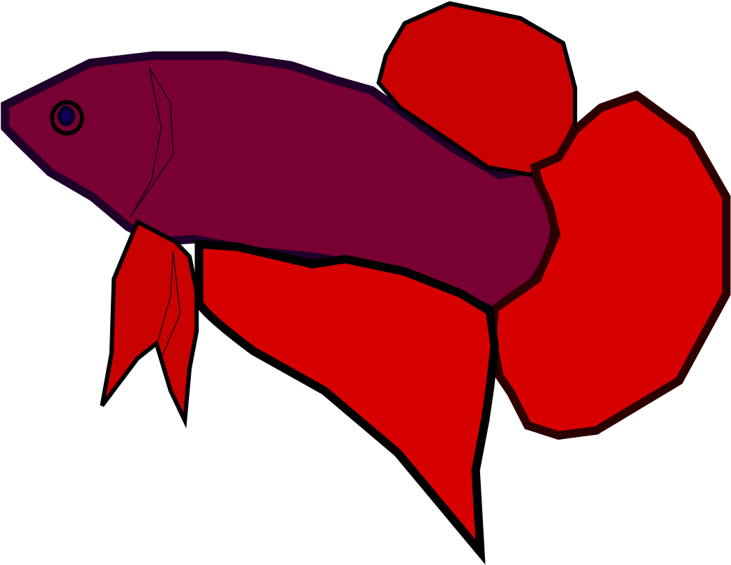 Vibrant Betta Fish Illustration.png PNG